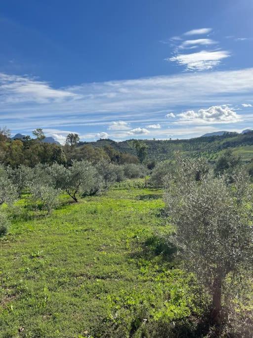 Casa La Fuente Alta Villa Algodonales Kültér fotó