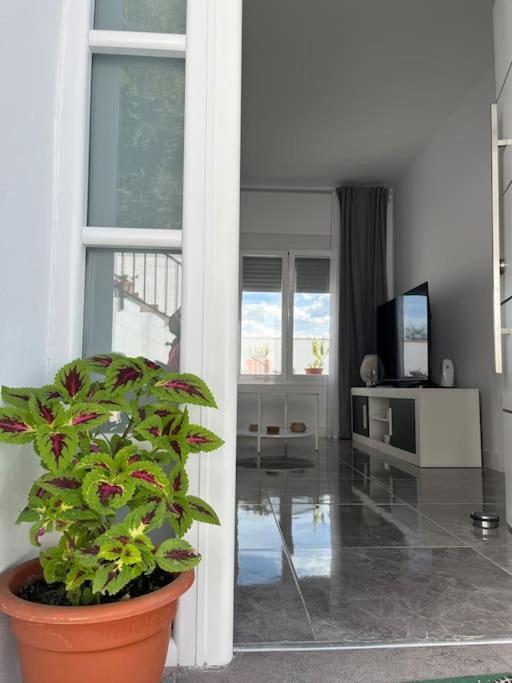 Casa La Fuente Alta Villa Algodonales Kültér fotó