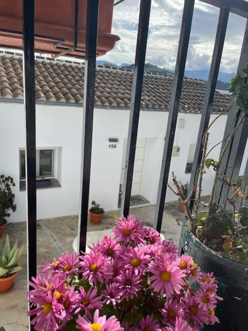 Casa La Fuente Alta Villa Algodonales Kültér fotó