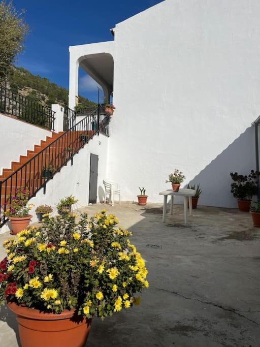 Casa La Fuente Alta Villa Algodonales Kültér fotó