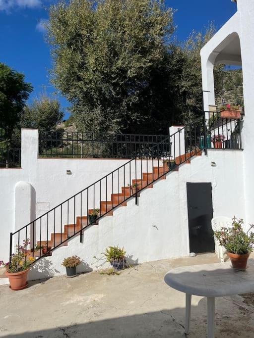 Casa La Fuente Alta Villa Algodonales Kültér fotó